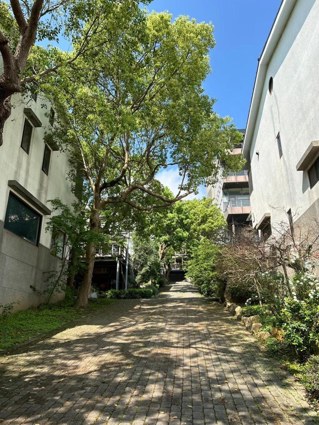 Miaoli Sanyi Travelling Homestay Eksteriør bilde
